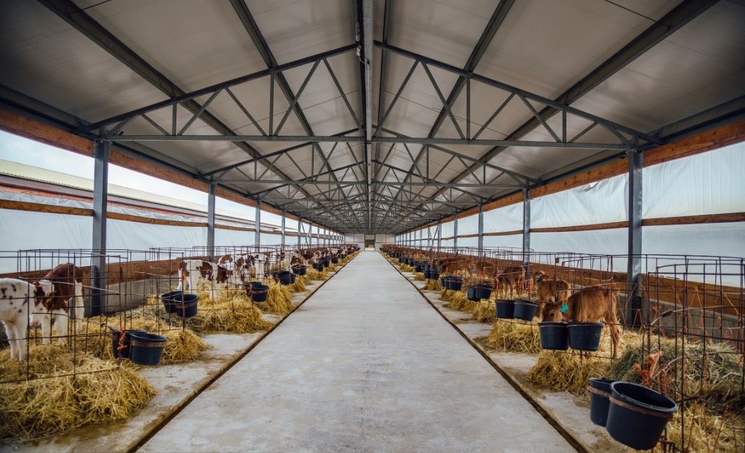 養(yǎng)殖場(chǎng)